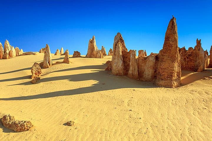 Full-Day Pinnacles Desert and Yanchep National Park Tour From Perth image