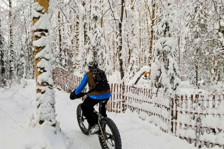 Anchorage Winter Fat Tire Bike Tour image