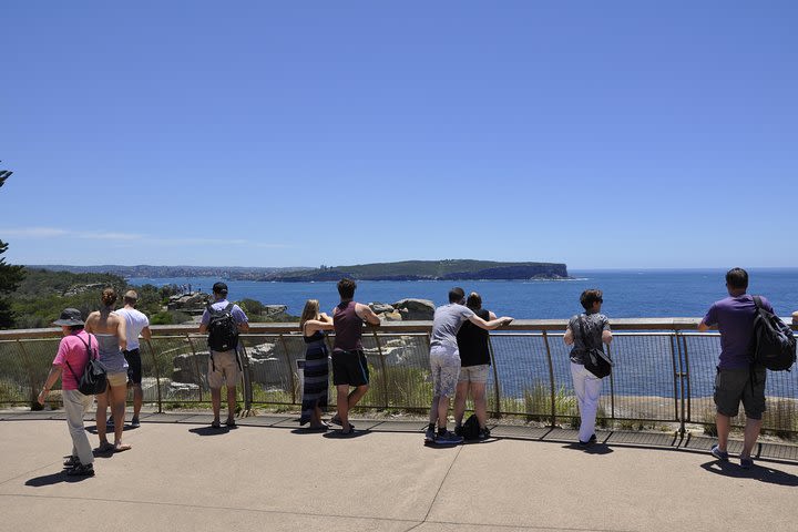 Sydney Sightseeing Bus Tours image