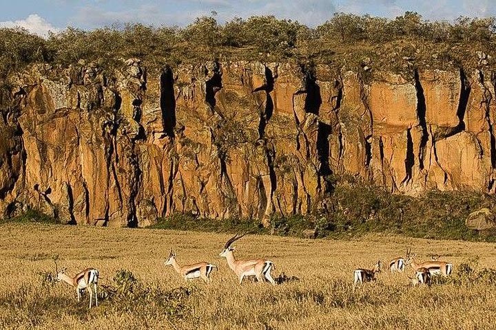 Day trip Hells gate Lake Naivasha best private safari image