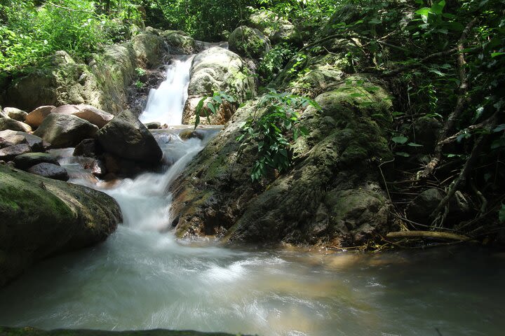 Hiking, Nature walk, Eco tour Park, Fauna, Bird watch  image