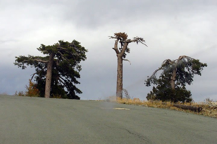 Tour TROODOS MOUNTAINS from Paphos image