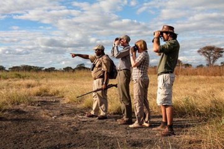 Mikumi National Park Walking And Game Drive Safari From Morogoro image