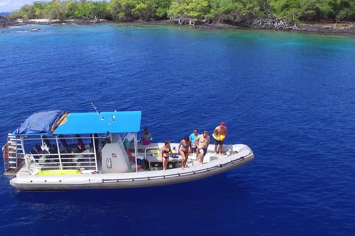 Captain Cook Cruises Deluxe 11:45am Private Boat Charter - Snorkel & Dolphin image