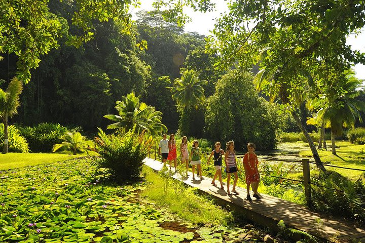 Tahiti Island Tour Including Venus Point, Taharaa View Point and Vaipahi Gardens image