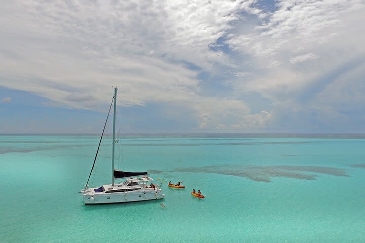 Exclusive Champagne Catamaran Sail & Snorkel image