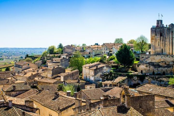 Saint Emilion Wine Tour Full Day Trip From Bordeaux (shared) image
