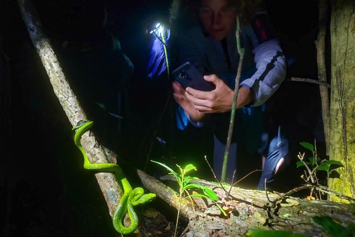 Package | Monteverde Cloud Forest + Curi-Cancha Reserve + Night Hike (Private) image