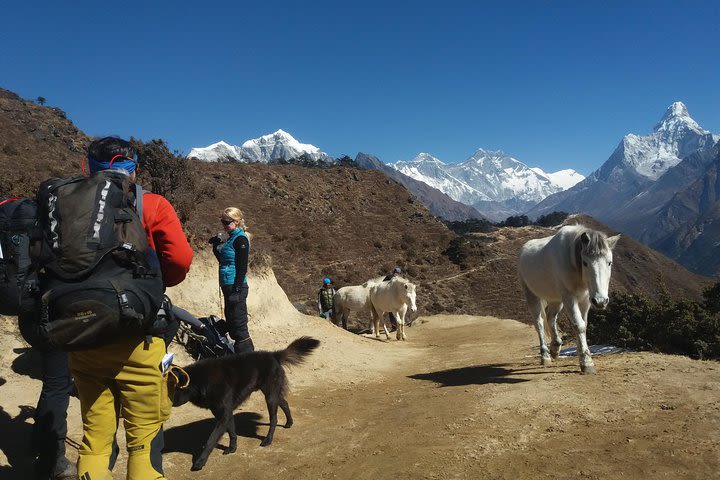 Everest Base Camp Trek image