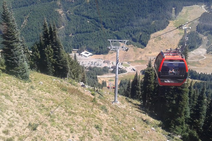 Mountain Scenery & Gondola Ride with Lunch image