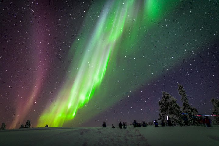 Private Aurora Tour (1-4) by Aurora Experts- Rovaniemi image