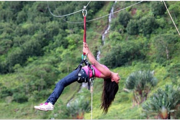 Zip line tour & Cradle of Human Kind Private  image