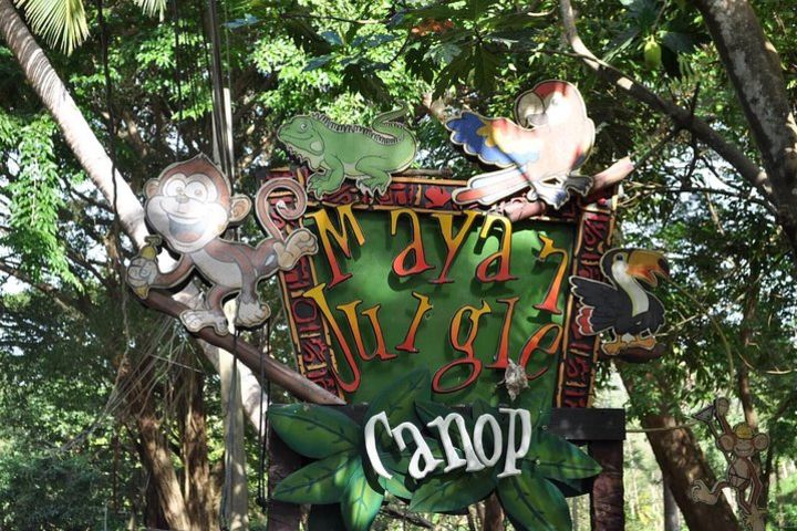 Mayan Jungle Canopy & Zip-line Tour, Monkey Business & West Bay Beach! image