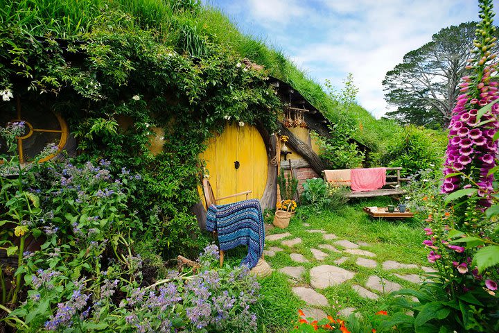 Tauranga Shore Excursion: Lord of the Rings Hobbiton Movie Set Tour image