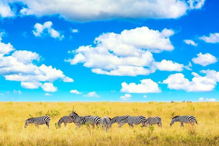 4 Day Masai Mara Safari image