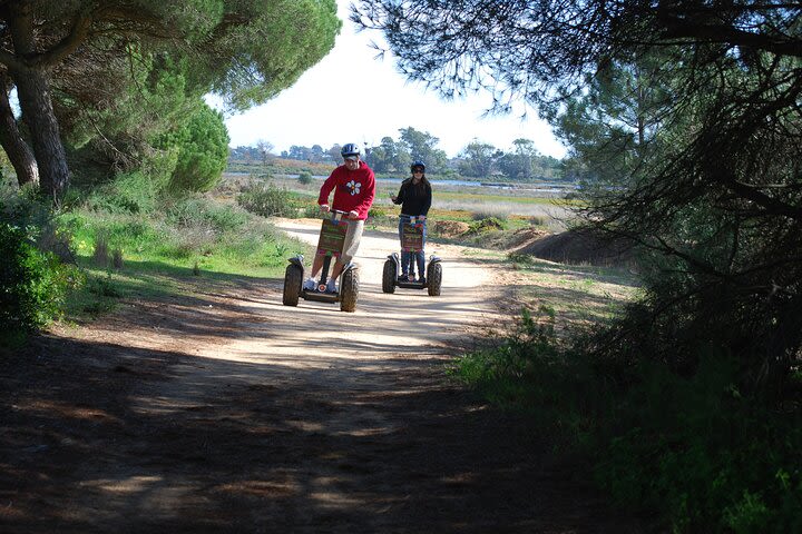 Ria Formosa Natural Park Birdwatching Segway Tour from Faro image