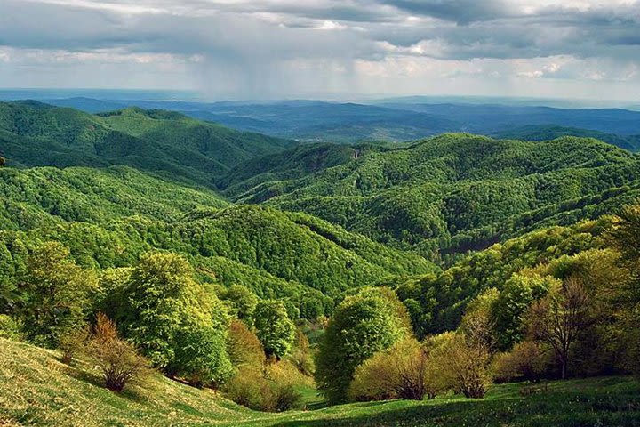 Private Day trek to Buila-Vanturita Park - Romania's Natural Treasure image