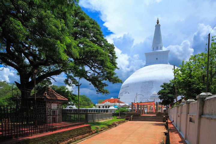 Sacred City of Anuradhapura from Sigiriya image