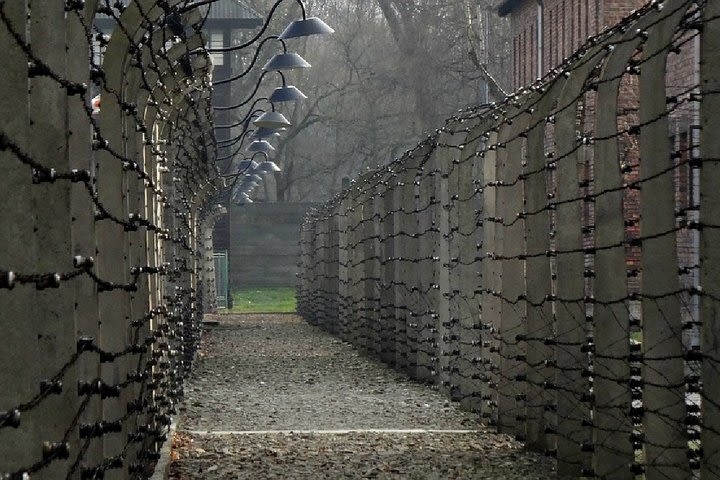 Full-Day Tour of Auschwitz-Birkenau and Salt Mine from Krakow image