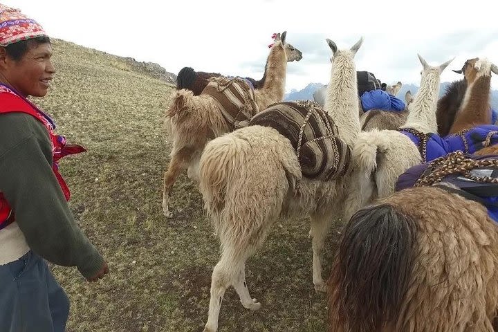 Llama Trek to Huchuy Qosqo & Machu Picchu 3 days image