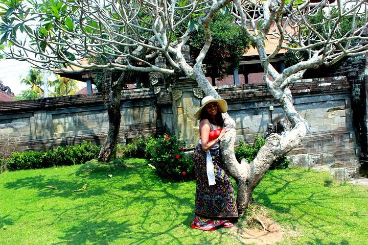 Incredible Day Trip to Ubud image