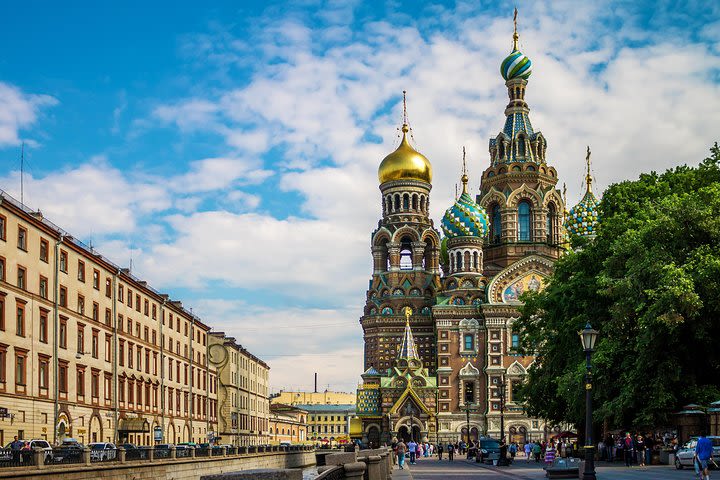 St. Petersburg Private Visa-Free Shore City and Peterhof Tour image