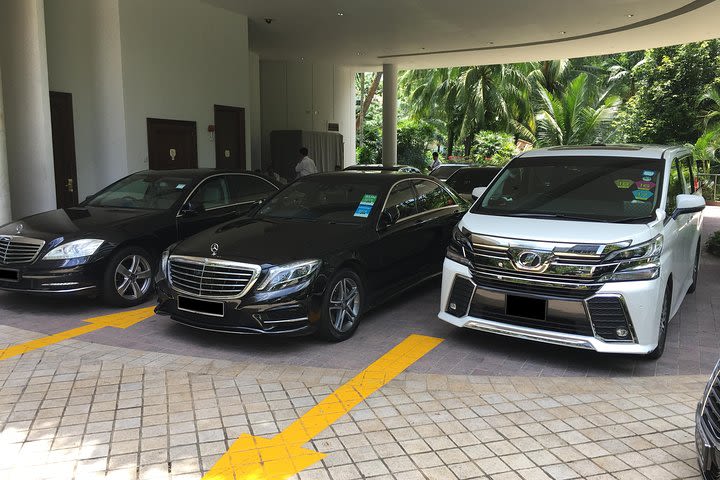 Private Singapore Arrival Transfer: Airport or Cruise Terminal to City image