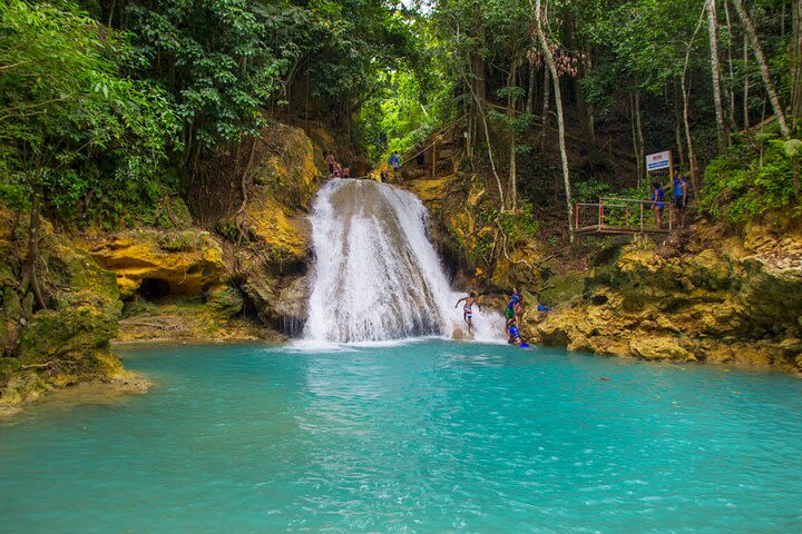 Blue Hole or Dunns River and Luminous Lagoon from Montego Bay image