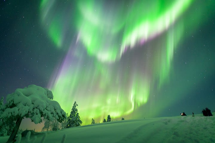 Auroras Northern Lights by Car and on Foot (photographing tour) image