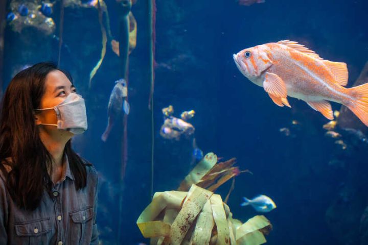 NightLife at California Academy of Sciences image