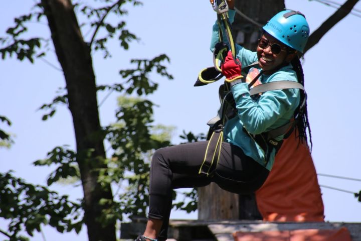 Aerial Adventure Park image