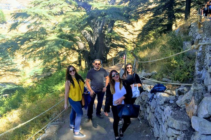 Private Full-Day Tour to Qadisha valley, Cedars of God and Baalbek from Beirut image