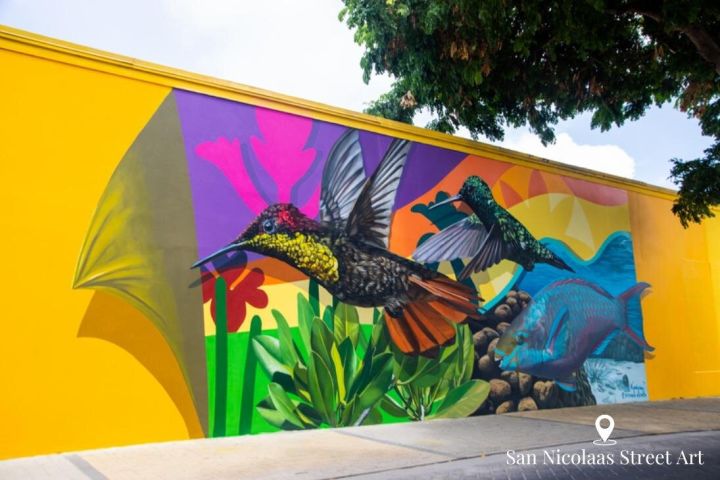 Aruba Off-Road Island Adventure image