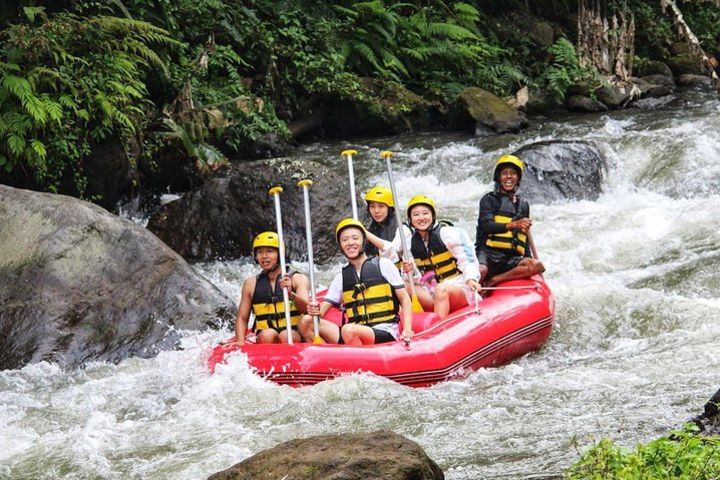 Package Ayung Rafting and Ubud Tours image