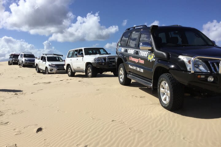 Port Stephens Bush, Beach and Sand Dune 4WD Tag-Along Tour image