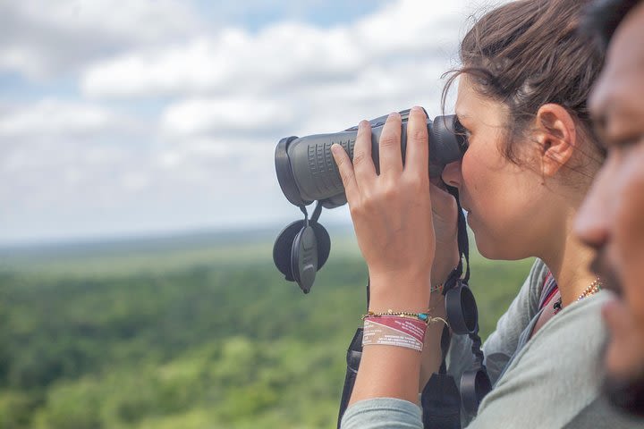 Birdwatching at The Mayan Cities with ciertified guide  image