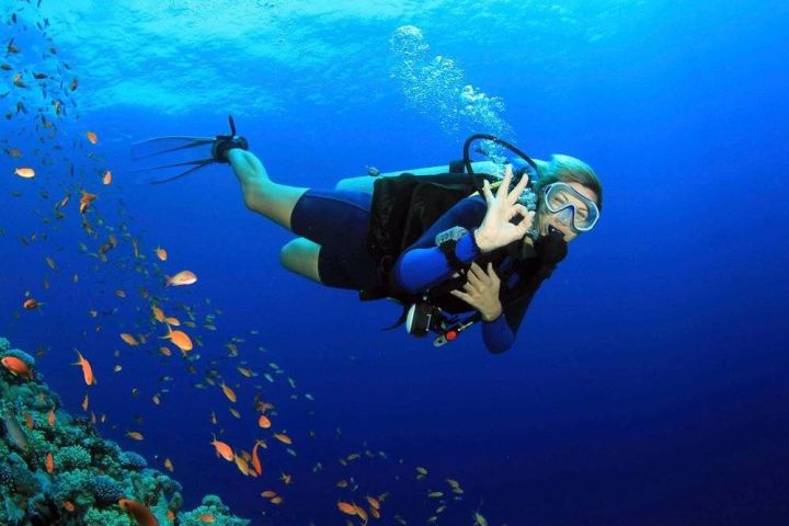 Fethiye Scuba Diving Adventure image