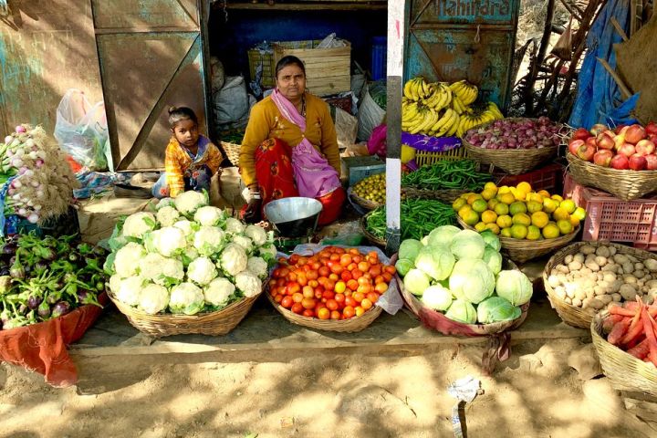 Excursion Udaipur(Explore the unexplored Countryside, Hills , Lakes & Villages) image