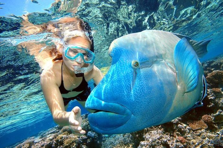 Punta Cana Adventure Combo Tour image