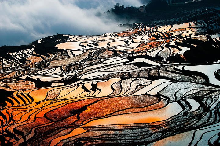 2 Day Private Transfer Service to Yuanyang Rice Terrace from Kunming image