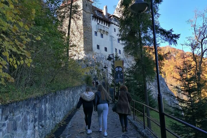 Day Trip in Transylvania : Bran (Dracula Castle) and Peles Castle from Bucharest image