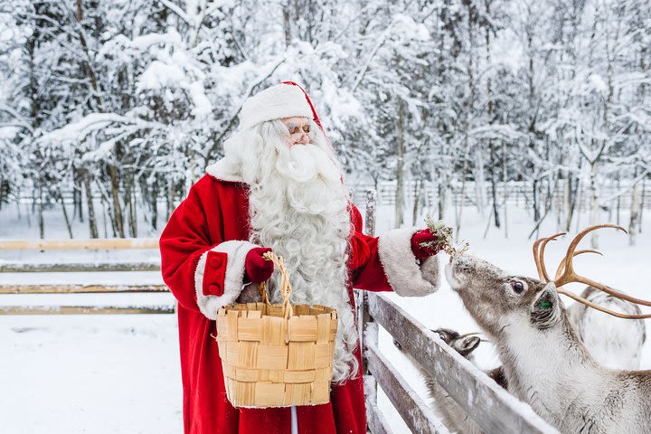 Trip to Arctic Circle, Santa Claus Village and Santas Reindeer image