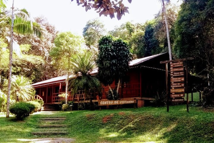 Hiking on the Cantareira Park  image