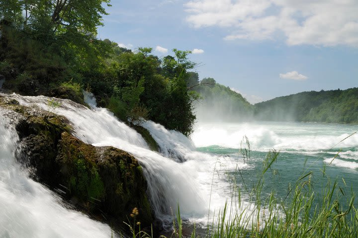 Private Tour: Rhine Falls Tour from Zurich image