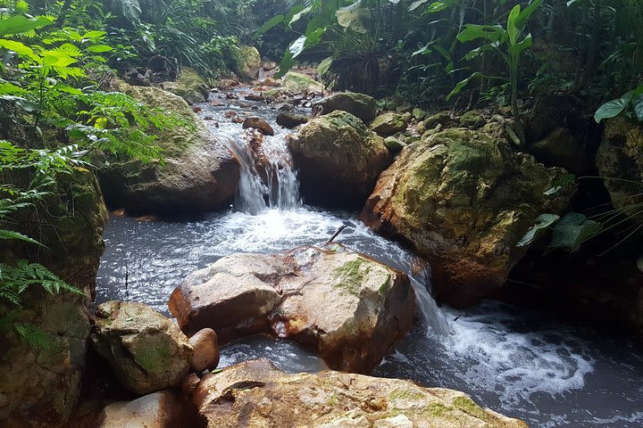 Rainforest Waterfall Adventure image