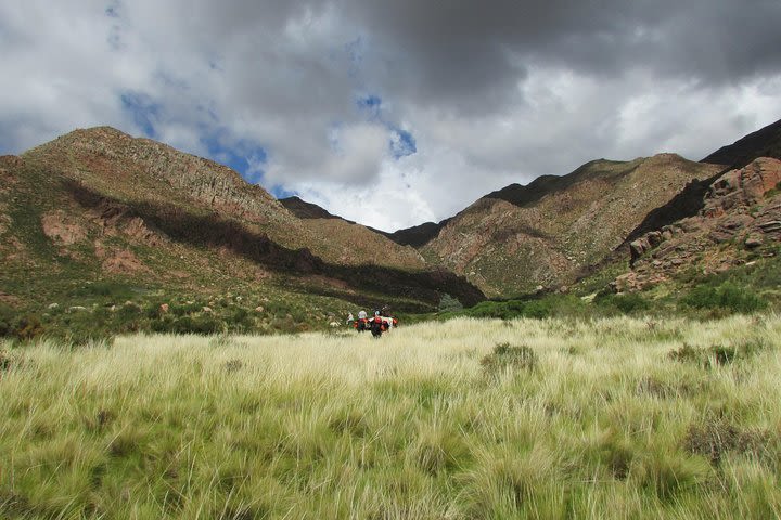 Horseback expedition to The Andes, 5 days image