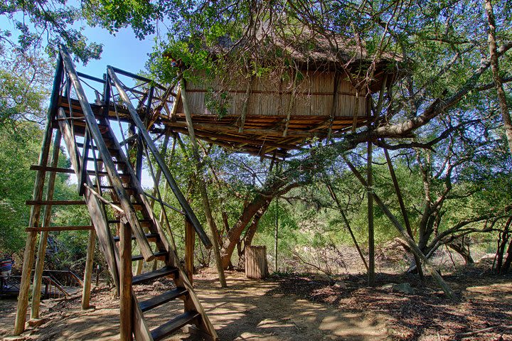 6 Day Lodge and Treehouse Kruger National Park Safari image