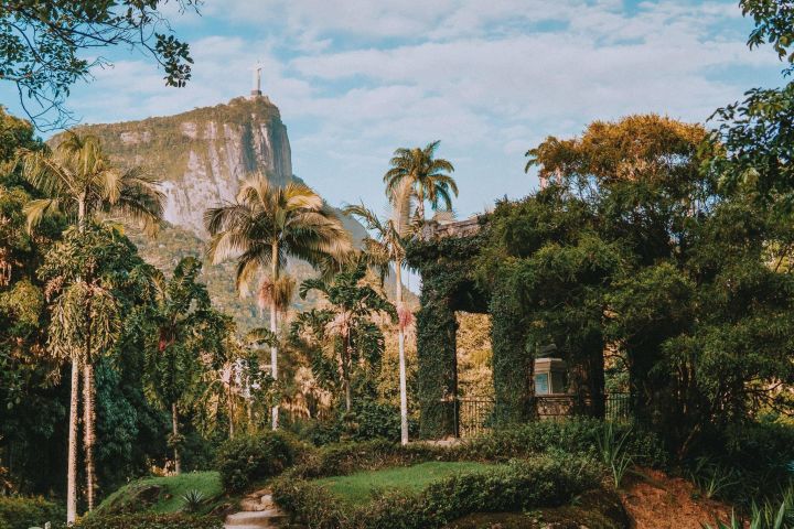 Rio de Janeiro Botanical Garden & Tijuca Forest Tour image