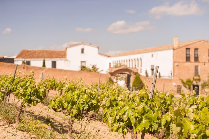Wine, Tapas & Cava from Barcelona | Private Tour image