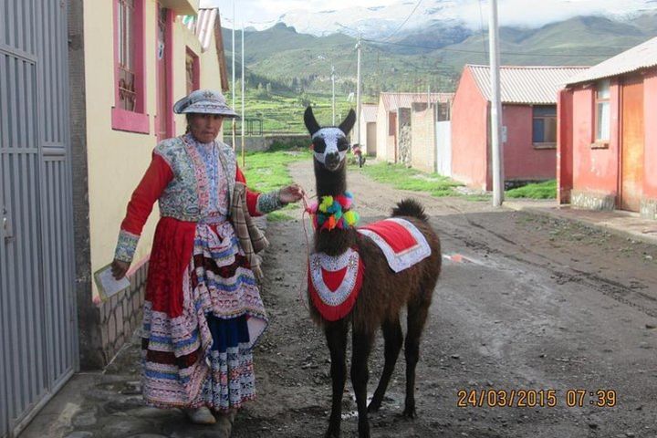 Full Day Trip to Colca Canyon from Arequipa image